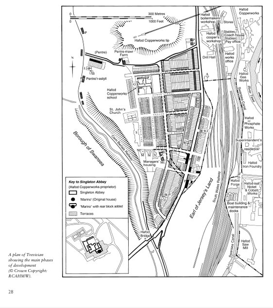 Plan of Hafod Copperworks and workers terraces
